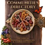 Utopian Ideology Kindle Book Fellowship Community-0