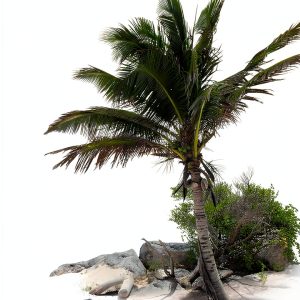 Caribbean Adventure Series Book 6 by Lost & Found Publishing-0