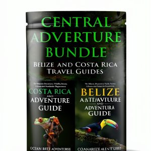 Travel Disability Guide Amazon Kindle eBook 8MB-0