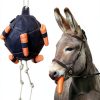 Horse Treat Ball Generic USPP3L6AKUN7APLAB Carrot Hay Dispenser-0