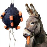 Horse Treat Ball Generic USPP3L6AKUN7APLAB Carrot Hay Dispenser-0