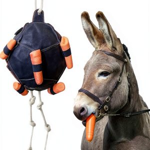 Horse Treat Ball Generic USPP3L6AKUN7APLAB Carrot Hay Dispenser-0