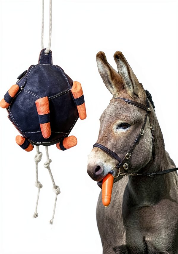 Horse Treat Ball Generic USPP3L6AKUN7APLAB Carrot Hay Dispenser-0