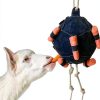 Horse Treat Ball Generic USPP3L6AKUN7APLAB Carrot Hay Dispenser-6