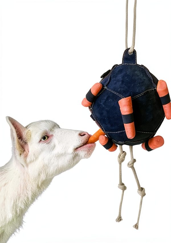 Horse Treat Ball Generic USPP3L6AKUN7APLAB Carrot Hay Dispenser-6