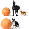 Herding Ball BabieDtOyG 25 Inch Blue Horse Toy with Green Cover-4