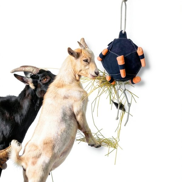 Horse Treat Ball Generic USPP3L6AKUN7APLAB Carrot Hay Dispenser-1