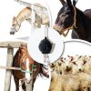 Horse Treat Ball Generic USPP3L6AKUN7APLAB Carrot Hay Dispenser-4
