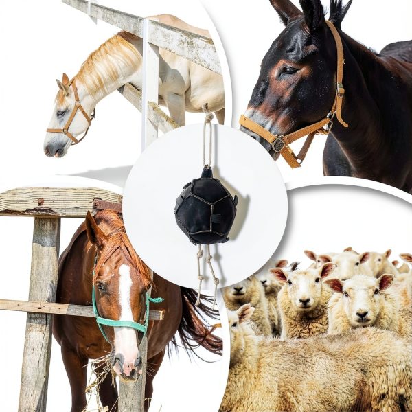 Horse Treat Ball Generic USPP3L6AKUN7APLAB Carrot Hay Dispenser-4