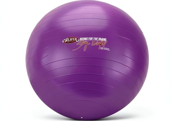 Weaver Leather Activity Ball Horse Toy Small Purple Plastic-0