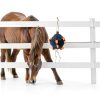 Horse Treat Ball Generic USPP3L6AKUN7APLAB Carrot Hay Dispenser-2