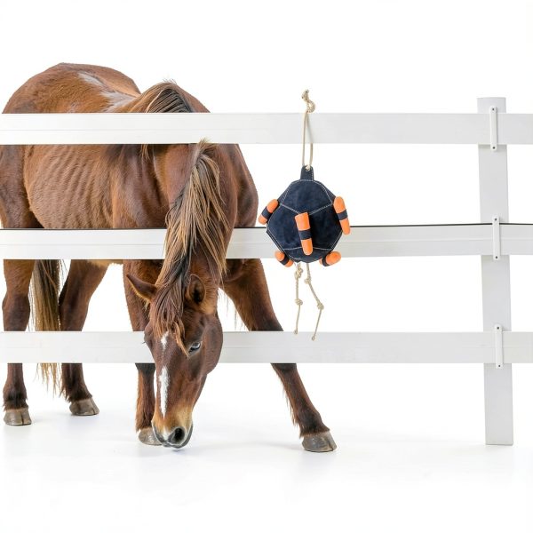 Horse Treat Ball Generic USPP3L6AKUN7APLAB Carrot Hay Dispenser-2